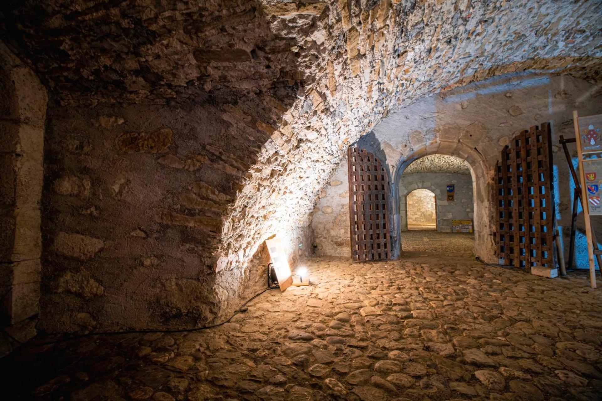 Chateau De Thorens Eksteriør billede